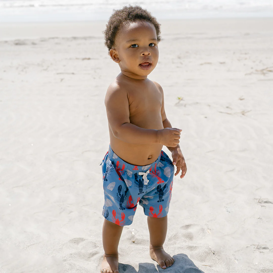 Baby Boys Swim Trunk - Lobsters and Clams - Image 2