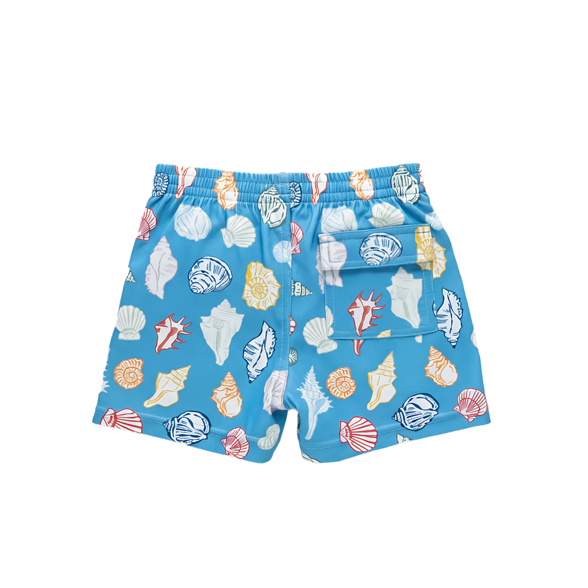 Boys Swim Trunk - Blue Seashells - Image 4