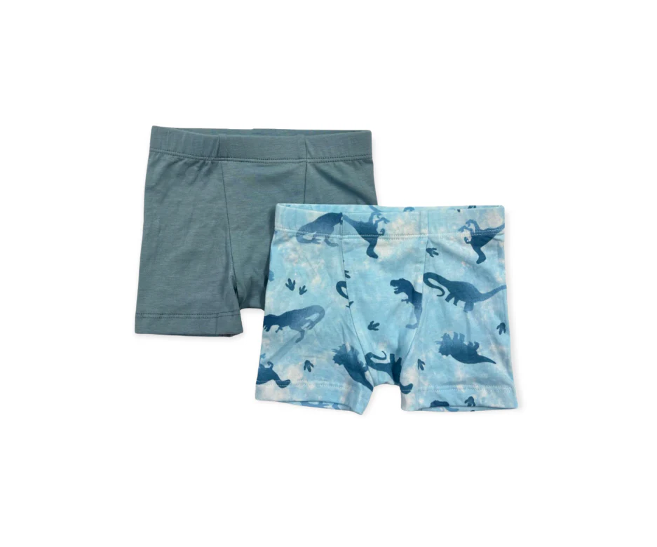 Ombre Dinos Boxer Pack