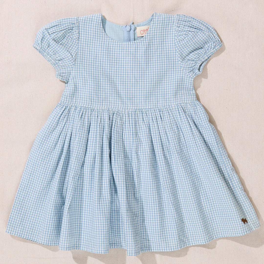 Picnic Dress - Blue Gingham