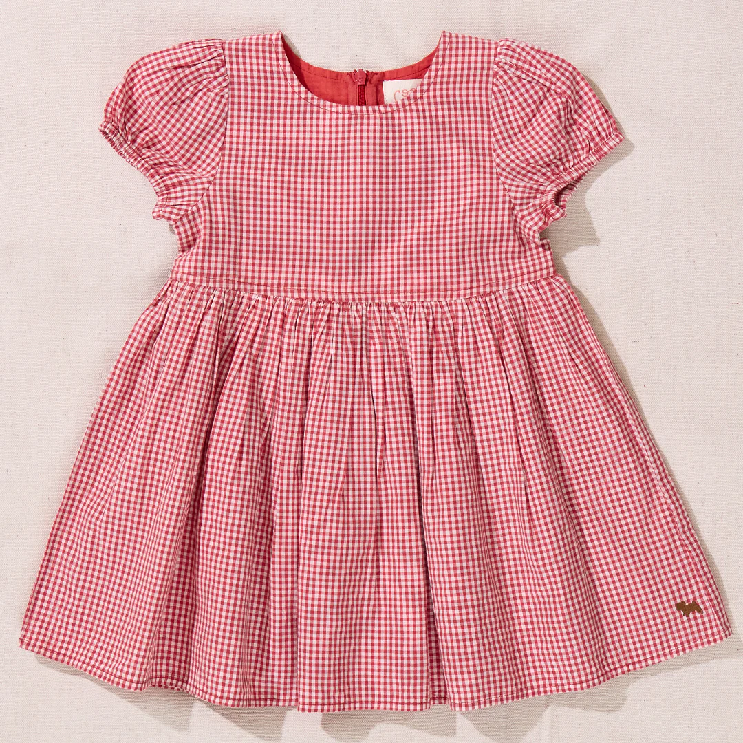 Picnic Dress - Red Gingham
