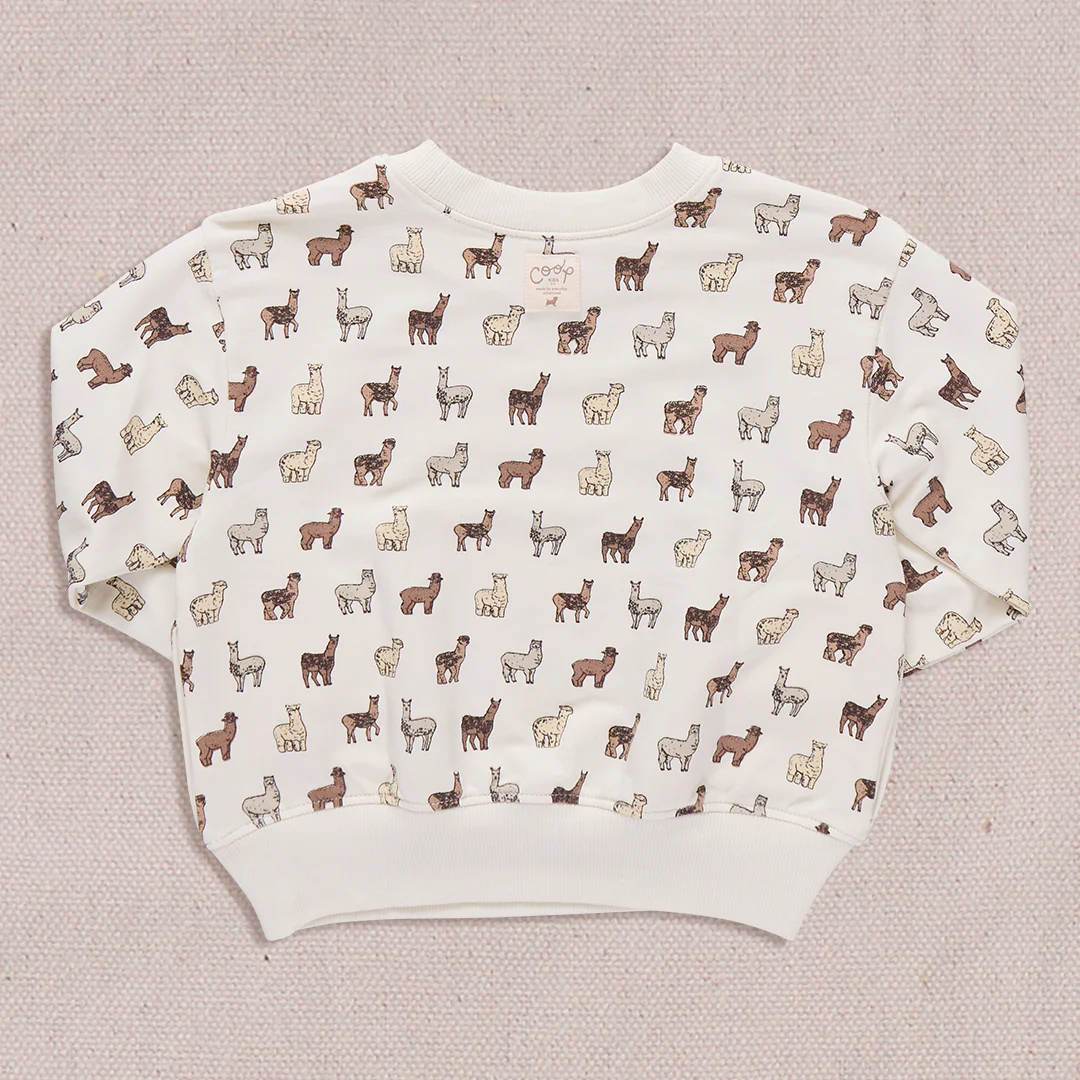 Play Sweatshirt - Llamas and Alpacas - Image 6