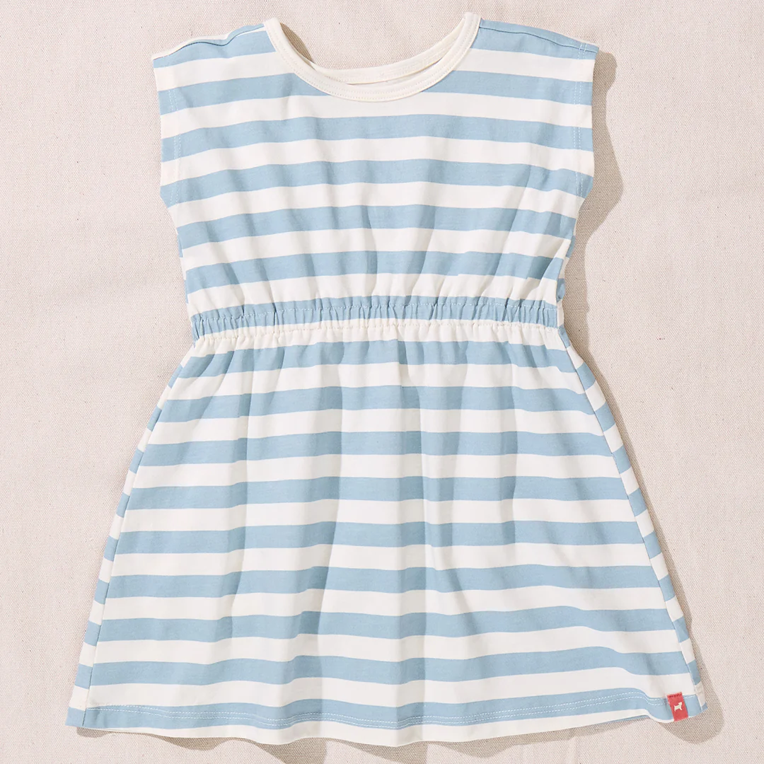 Playground Dress - Light Blue Stripe