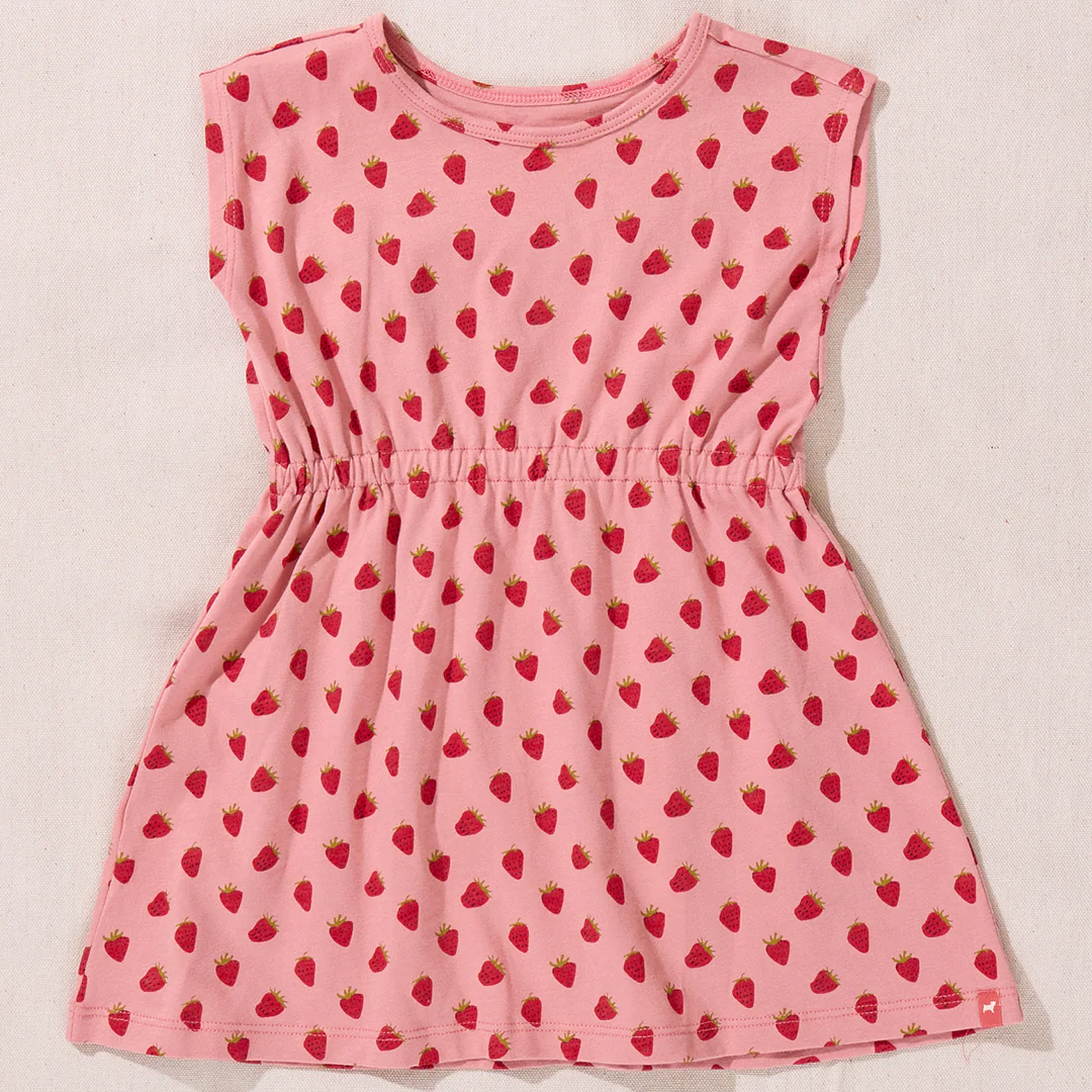 Playground Dress - Mini Strawberries