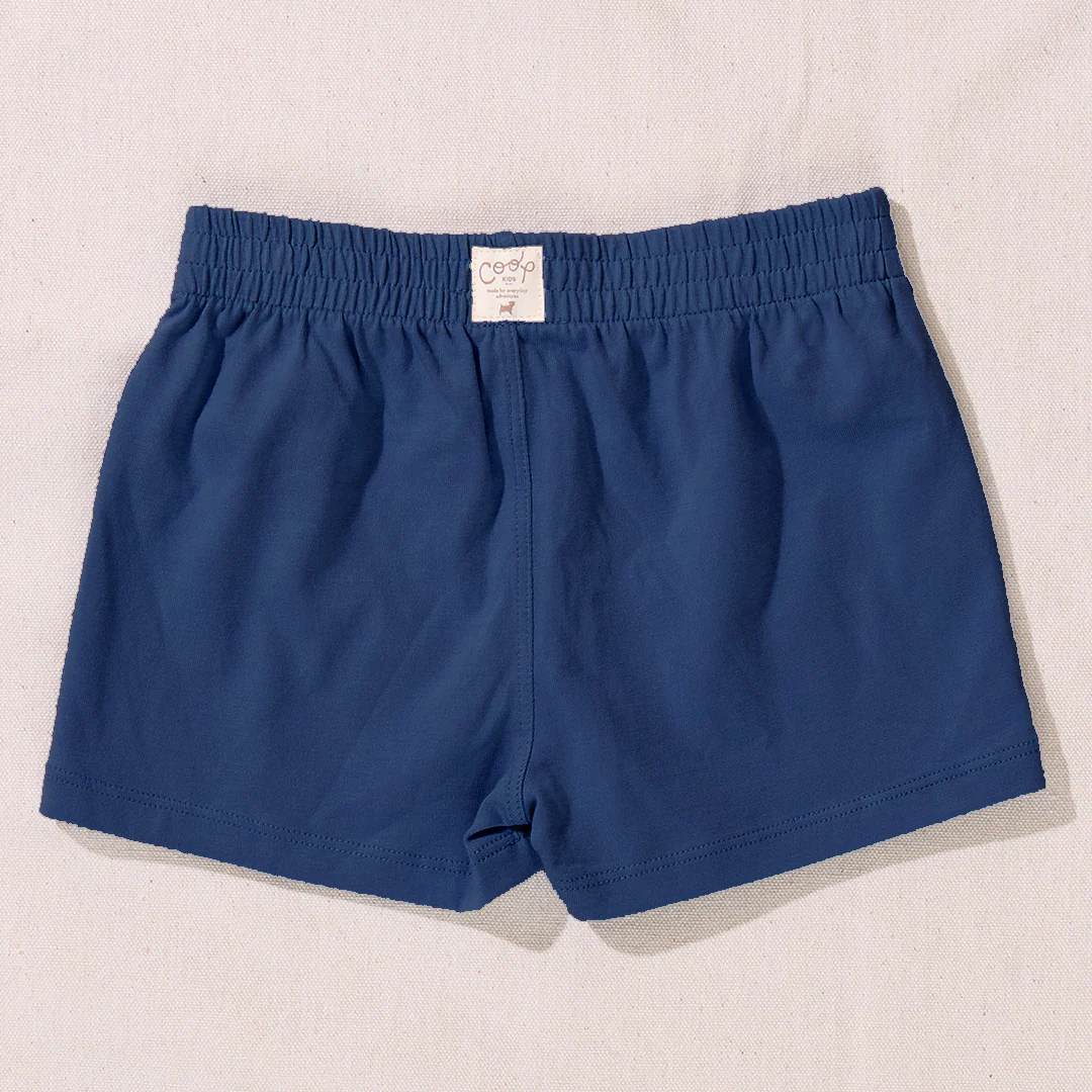 Sandbox Short - Navy - Image 4