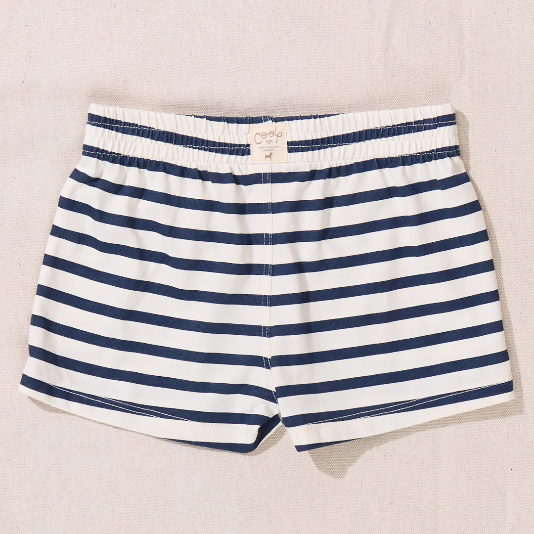 Sandbox Short - Navy Stripe - Image 5